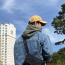 데일리보자기