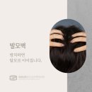 성모센트럴정신건강의학과의원 | 마포센트럴아이파크 정신과 - 발모벽 내버려두면 탈모로 이어질 수 있습니다