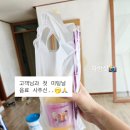 다온철물점 | 2025 왓츠인마이블로그 챌린지📸 다온도배장판 임팀장의 리얼 일상 공개!