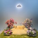 구름이 샵 이미지