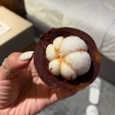 메트로마트 | 여행 2일차 **더 리프 아일랜드 리조트 막탄/ lg가든 메트로 마트/ 메르카토 야시장** 내돈내산 솔직후기