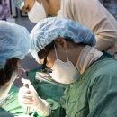 승원치과의원 | 경산사랑니, 발치 후 알아야 할 사항 3가지<의사 작성>