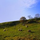 우리들 목장 이미지