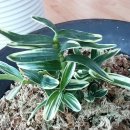 아우내장터3길 이미지