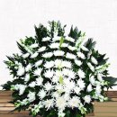 지례초교 이미지