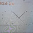 진영상사 | [공지] 직장인 역량강화 &#39;파트너십 업! (partnership up!)&#39; 예술 프로그램