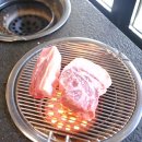 연탄과친한돼지