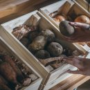 송당일상 이미지