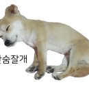 멍제로
