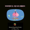 비앤비공인중개사사무소 이미지