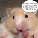 팻투데이(FATTODAY) 이미지