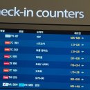 한국에스케이에프씰(주) | 🌀오키나와 3월 여행 l 3박 4일 숙소·맛집·볼거리 까지 여행 기록