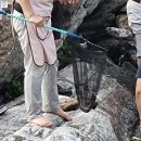 산골 독채 민박 이미지