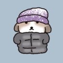 성경약국 | 아산병원 근처 분위기 좋은 카페 친밀한 내돈내산 후기