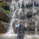 종갓집 꼬막회관 이미지