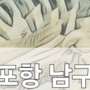 포항시남구47 이미지