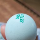 마령생명영농조합법인 이미지