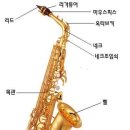 색소폰 Daum카페