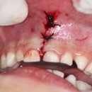 연세별소아치과치과의원 이미지