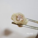 홍콩반점 사가정점 배달 후기[짜장,짬뽕,고추짬뽕,탕수육]