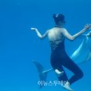 인어공주 이뉴스투데이