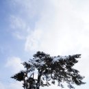 초당동-3 Daum카페