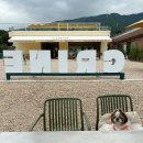 투썸플레이스포천중앙점 | 포천 고모리 애견동반 카페 저수지뷰 불멍카페 그리네 오아시스