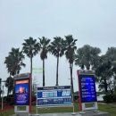 오렌지 농장 이미지