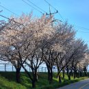 서익산농협웅포지점 이미지