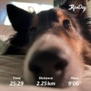 뉴지존스크린 | 서쪽사람들,(251020-251026)