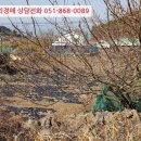 남해-191 이미지