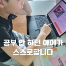 메이트 | 브레인메이트 후기, 공부 안 하던 아이가 스스로 하게 된 이유