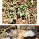 유가사등산로 이미지