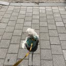 율무상점 이미지