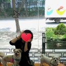 포근한동물병원 이미지