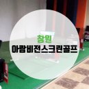 아람비젼스크린골프