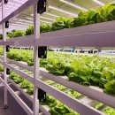 박대성농장 이미지