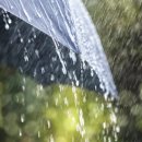 일본어 입문 이미지