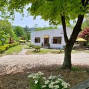 브라운피크닉 이미지