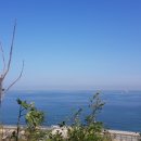 동해강의원 이미지