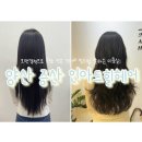 증산증학교 네이버블로그