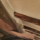 양산기장축협 하나로마트 이미지