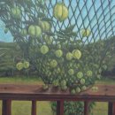 선원사지로 이미지