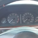 경남화이트 이미지