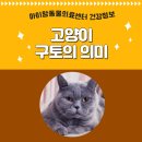 아이맘동물의료센터 이미지