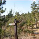 세풍중군간도로 이미지