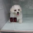 나눔동물병원 이미지