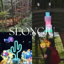 르노삼성자동차지정정비코너부여점 | 경북 성주 아이와 가볼만한곳 신비로운 가야산 나이트 트레킹