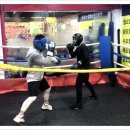 한철민복싱클럽 이미지