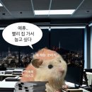 삼학사로34앞 | 3월